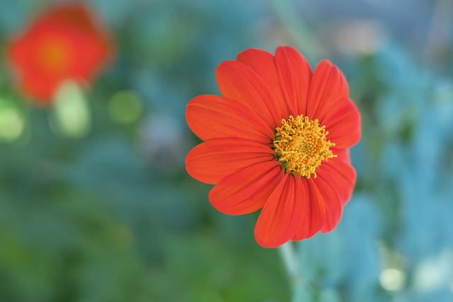 配置确保了 配置确保了