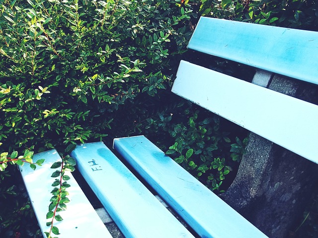 詹姆斯的重 詹姆斯的重