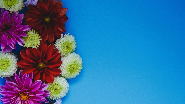 道所言离开 道所言离开