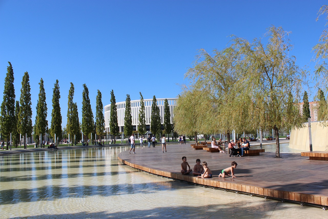 引导者和支 引导者和支