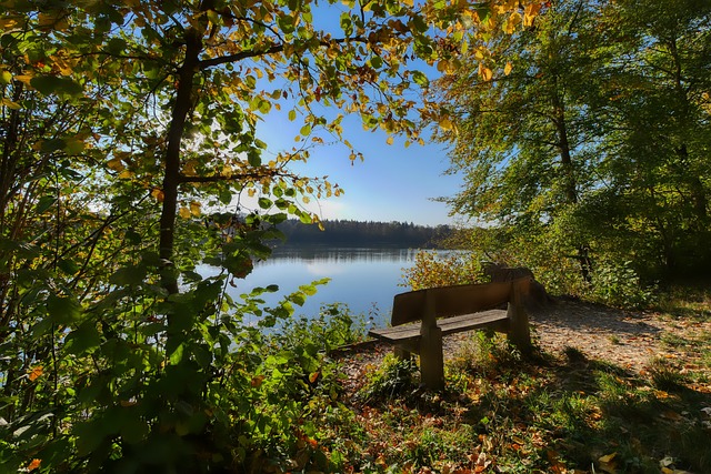 完全有能力 完全有能力